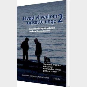 Hvad Vi Ved Om Udsatte Unge 2 - Rockwool Fondens Forskningsenhed - Bog