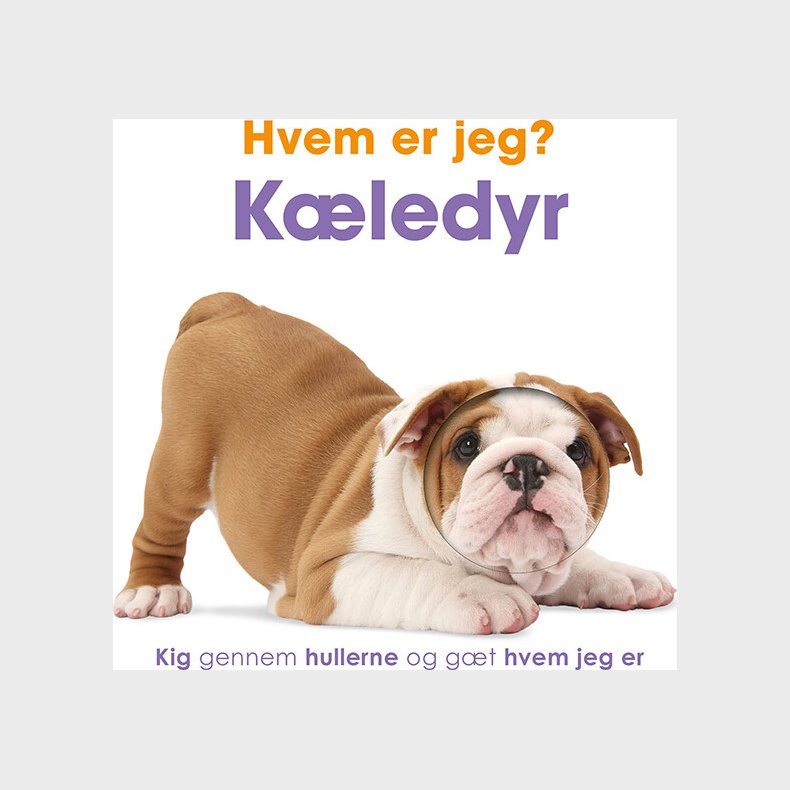 Hvem Er Jeg? Kledyr - Bog