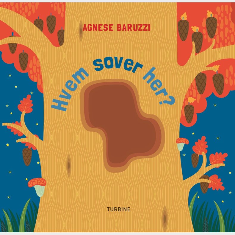 Hvem Sover Her? - Agnese Baruzzi - Bog