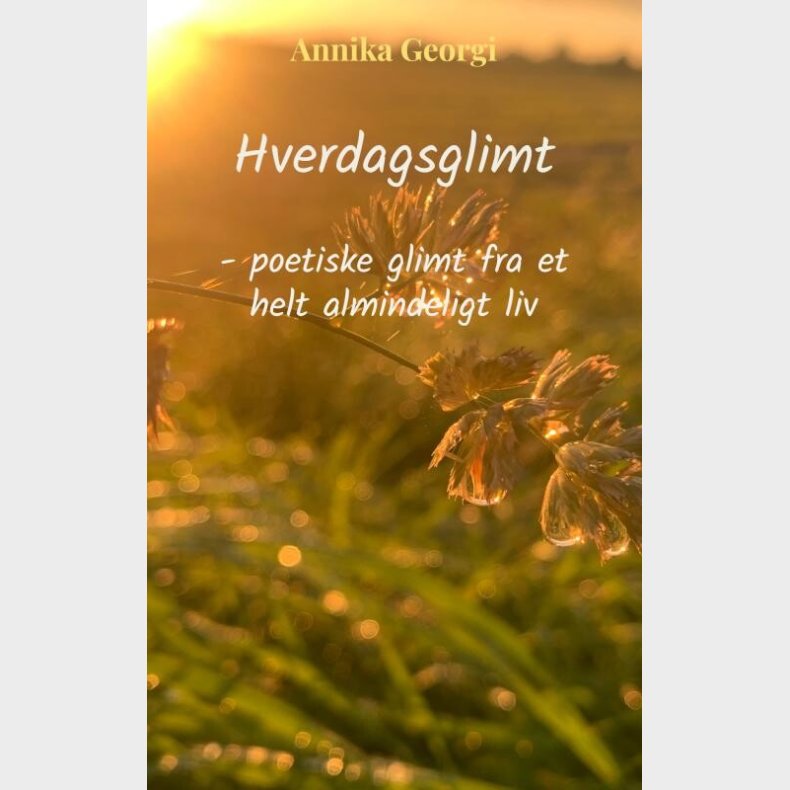 Hverdagsglimt - Annika Georgi - Bog