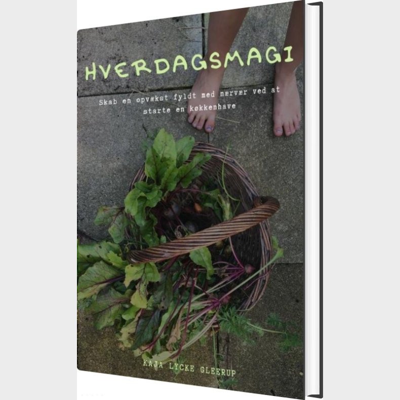 Hverdagsmagi - Kaja Lycke Gleerup - Bog