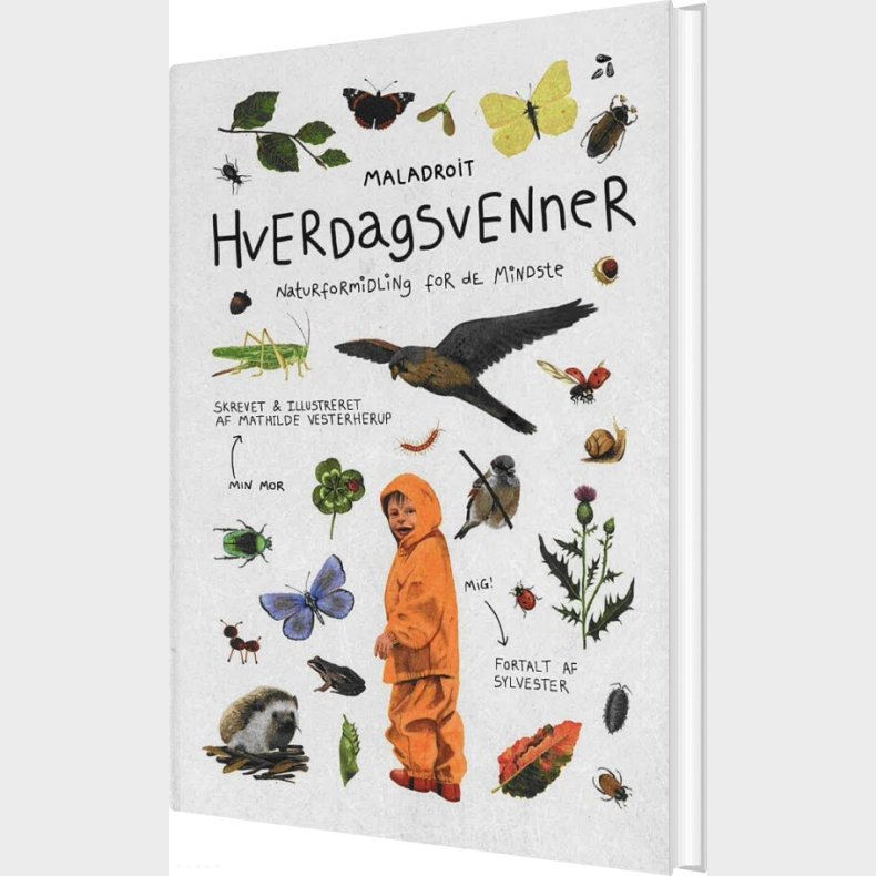 Hverdagsvenner - Mathilde Vesterherup - Bog