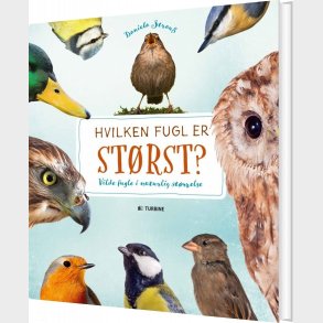 Hvilken Fugl Er St�rst? - Daniella Strauss - Bog
