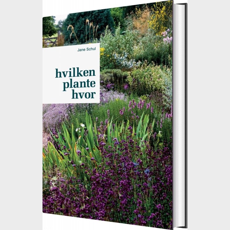 Hvilken Plante Hvor - Jane Schul - Bog