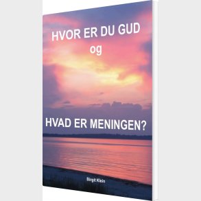 Hvor Er Du Gud Og Hvad Er Meningen? - Birgit Klein - Bog
