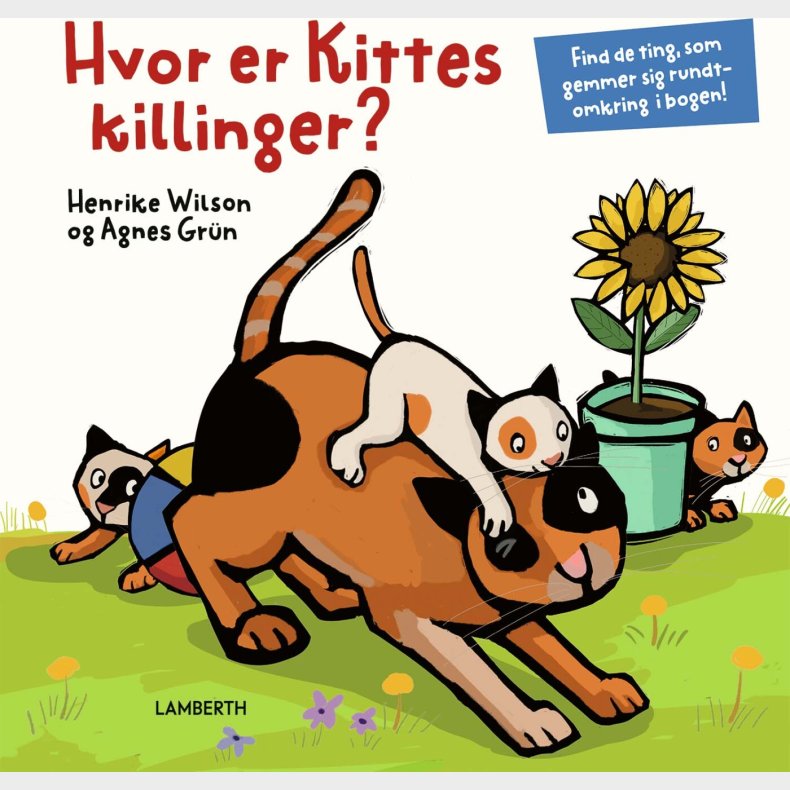Hvor Er Kittes Killinger? - Agnes Gr�n - Bog