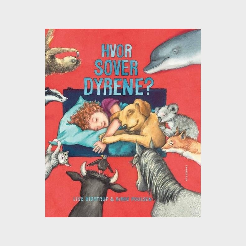 Hvor Sover Dyrene? - Lise Bidstrup - Bog