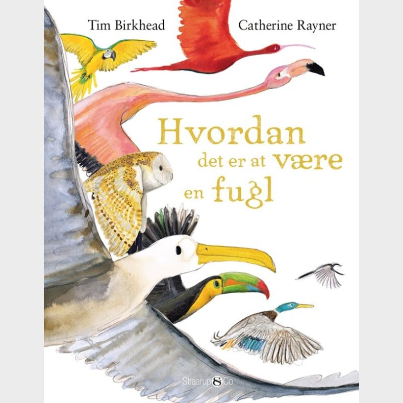 Hvordan Det Er At V�re En Fugl - Tim Birkhead - Bog