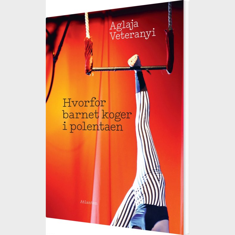Hvorfor Barnet Koger I Polentaen - Aglaja Veteranyi - Bog