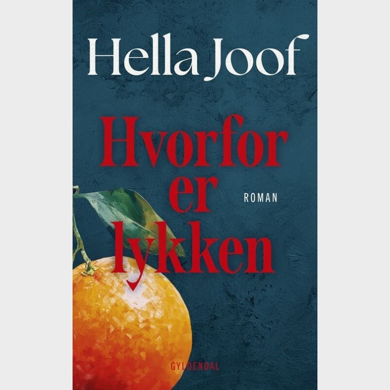 Hvorfor Er Lykken - Hella Joof - Bog