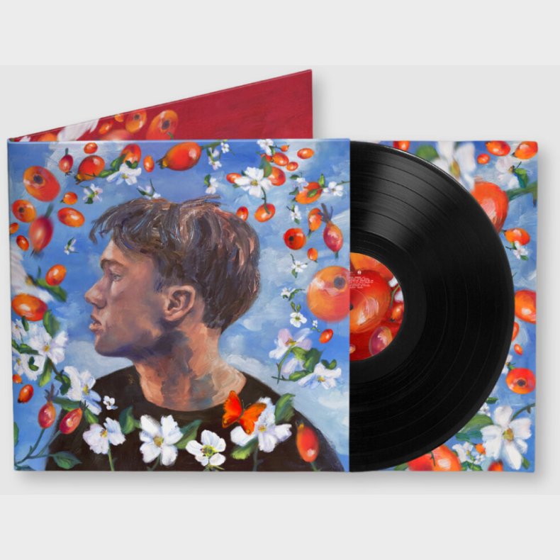 Ozzy - Hyben - Vinyl Lp