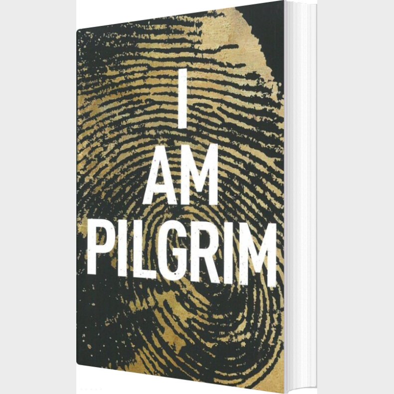 I Am Pilgrim - Terry Hayes - English Book