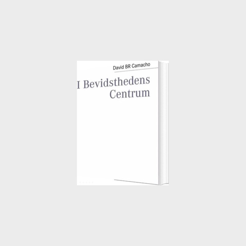I Bevidsthedens Centrum - David Br Camacho - Bog