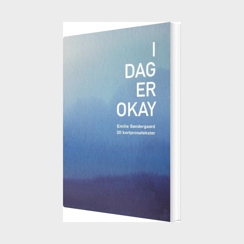 I Dag Er Okay - Emilie S�ndergaard - Bog