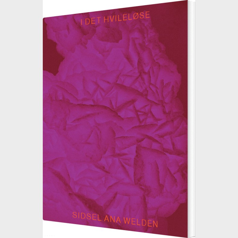 I Det Hvilel�se - Sidsel Ana Welden Gajardo - Bog