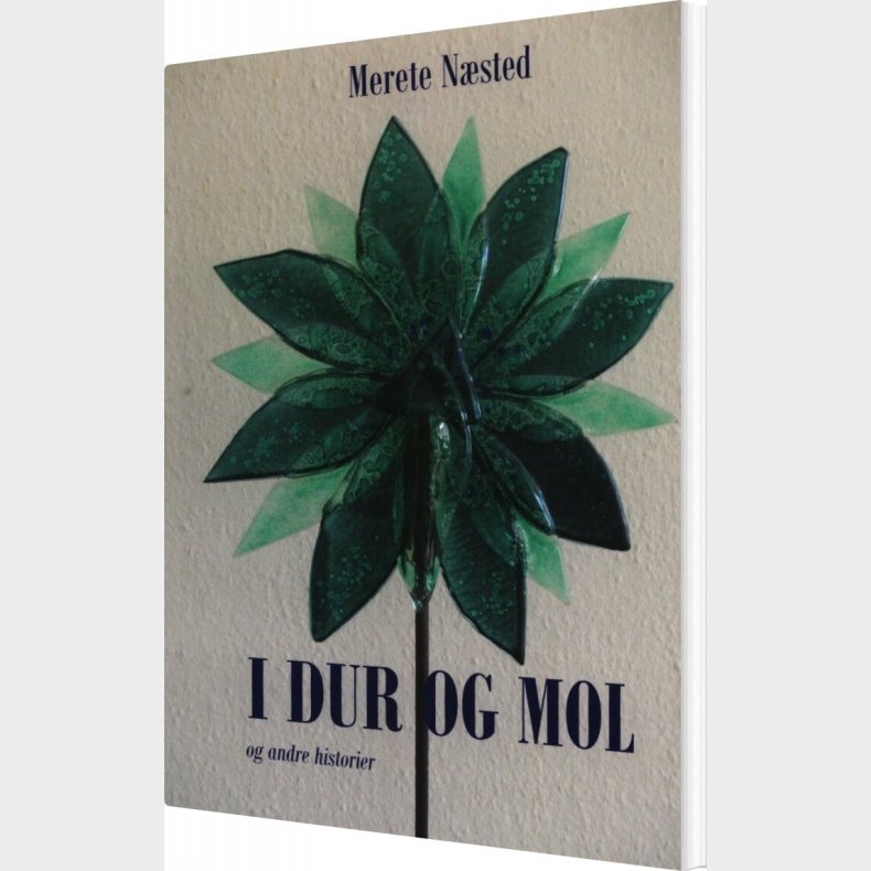 I Dur Og Mol - Merete N�stved - Bog