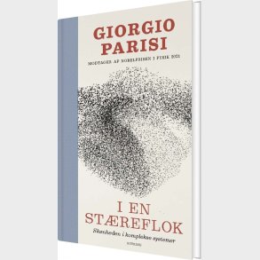 I En St�reflok - Giorgio Parisi - Bog