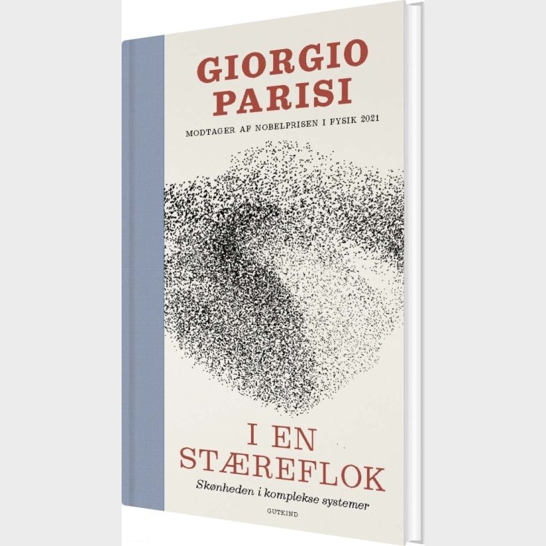I En St�reflok - Giorgio Parisi - Bog