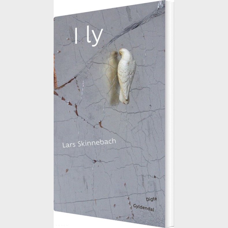 I Ly - Lars Skinnebach - Bog