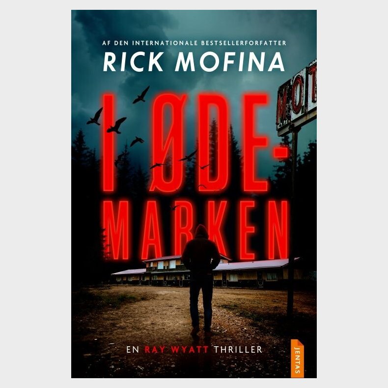 I �demarken - Rick Mofina - Bog