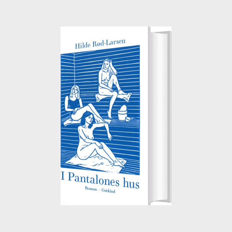 I Pantalones Hus - Hilde R�d-larsen - Bog