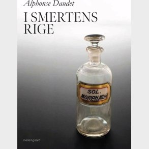 I Smertens Rige - Alphonse Daudet - Bog
