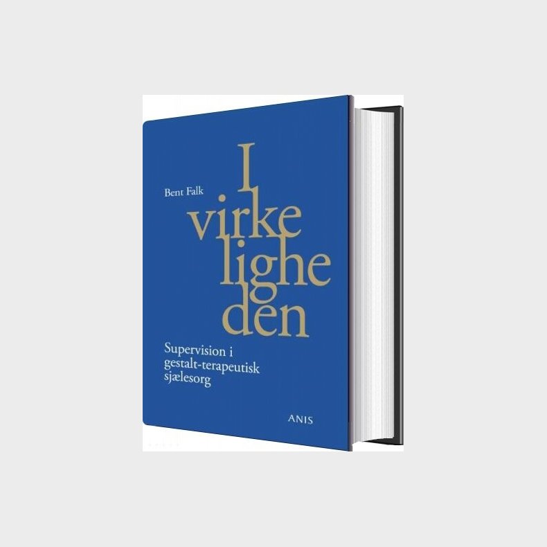 I Virkeligheden - Bent Falk - Bog