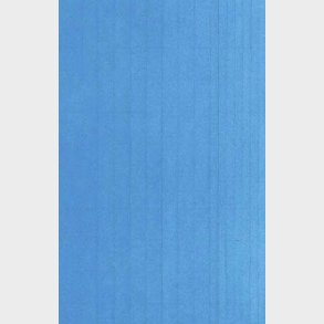 Igennem Landskaber - Ann Linn Palm Hansen - Bog