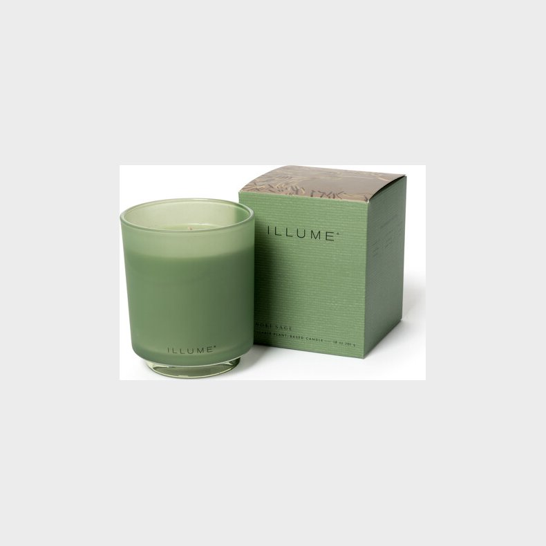 Illume - Hinoki Sage Box Glass Candle - Grn,