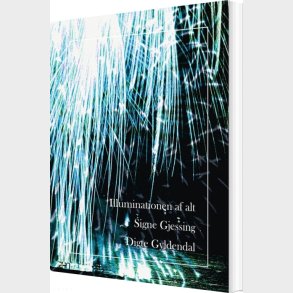 Illuminationen Af Alt - Signe Gjessing - Bog