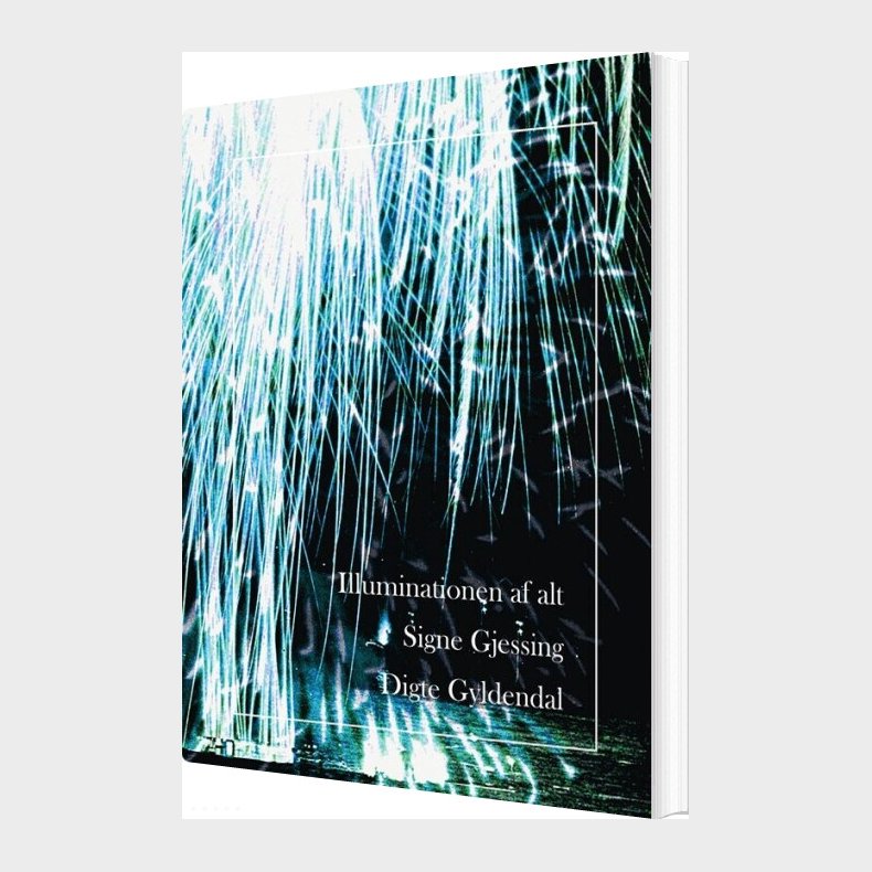 Illuminationen Af Alt - Signe Gjessing - Bog