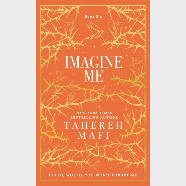 Imagine Me: Collector's Edition - Tahereh Mafi - English Book