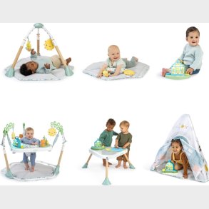 Ingenuity - Tummy To Toes 6-i-1 Milep�lscenter - (in-16904)