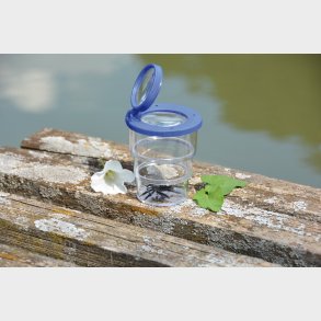 eduplay | Insektglas, foldbart -  7 cm.