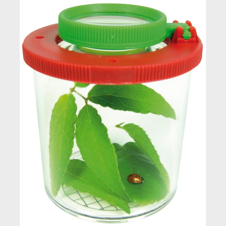 eduplay | Insektglas med forstrrelsesglas,  6 cm.