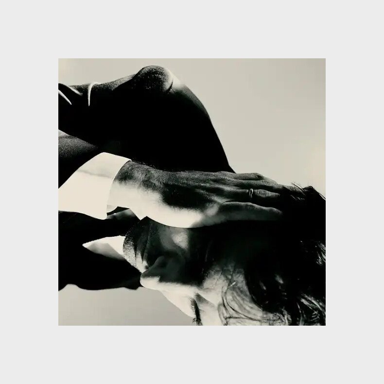 Andrew Bird - Inside Problems - Vinyl Lp