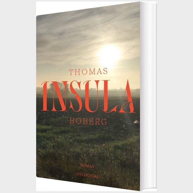 Insula - Thomas Boberg - Bog