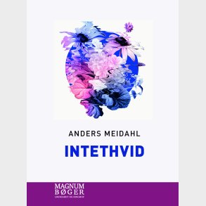 Intethvid (storskrift) - Anders Meidahl - Bog