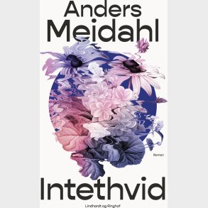Intethvid - Anders Meidahl - Bog