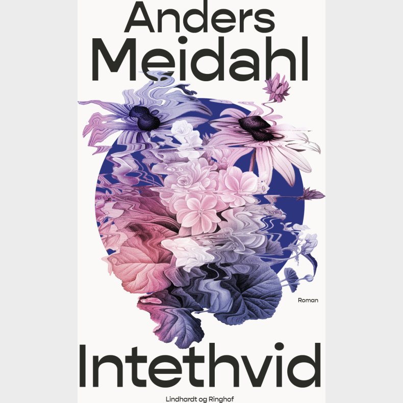 Intethvid - Anders Meidahl - Bog