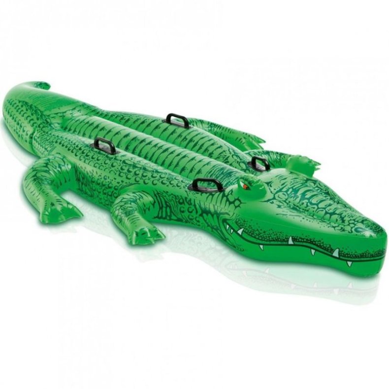 Krokodille Badedyr - 200 Cm