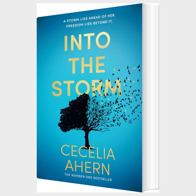 Into The Storm - Cecelia Ahern - English Book