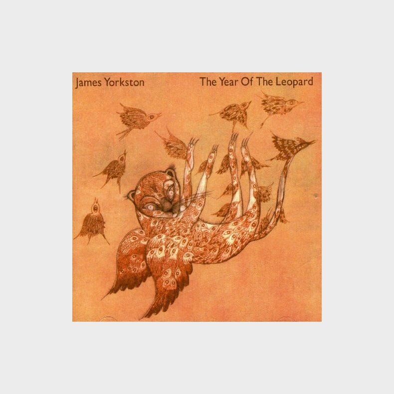 James Yorkston - The Year Of The Leopard - CD