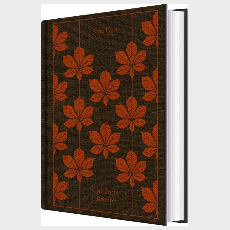 Jane Eyre - Charlotte Bront� - English Book