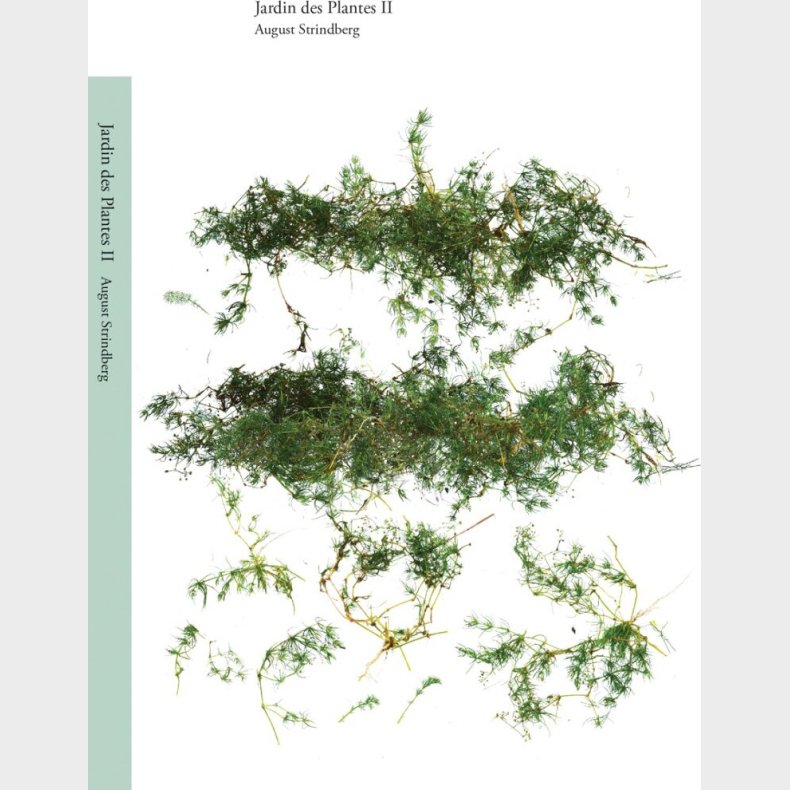 Jardin Des Plantes Ii - August Strindberg - Svensk Bog