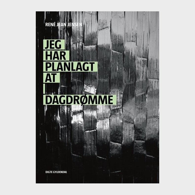 Jeg Har Planlagt At Dagdr�mme - Rene Jean Jensen - Bog