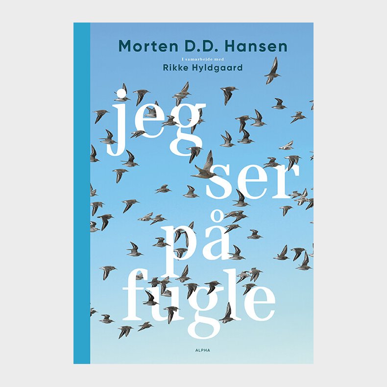 Jeg Ser P� Fugle - Rikke Hyldgaard - Bog