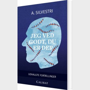 Jeg Ved Godt, Du Er Der - A. Silvestri - Bog