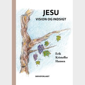 Jesu Vision Og Indsigt - Erik Kristoffer Hansen - Bog