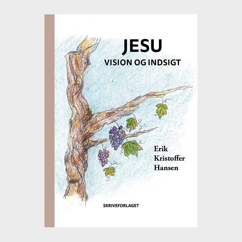 Jesu Vision Og Indsigt - Erik Kristoffer Hansen - Bog